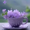 thanhthuy111989
