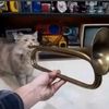 nerdvoom