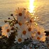 fndnurss_06