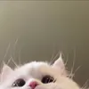 tamyy_th