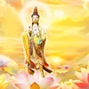 quantheambotatphapmon