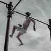 lu_calisthenics