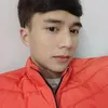 30376336177
