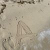 alreadyd10b