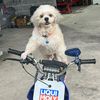 moo_nueng2531