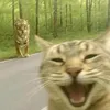 thanhluankxd