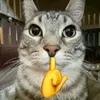 seeucutii_dths1