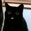 white.catz