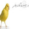 canaryf