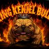 umd_bullies