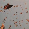 asma_lll2