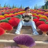 phantanminh89