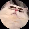 _henz20504_