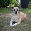 isyyy_2008