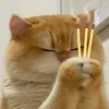 ifnbvgjcxg