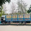 duy_hoang_97_bmt