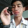 chicken.walk.5.stars_dew