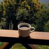 endar_313
