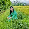 hbl_tham