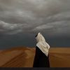 Al Ajmi🪶