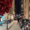 janubih_6556