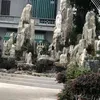 ongdubai5