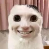 luuthuha1512