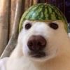 bongosmcbingos