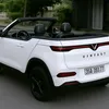 dotrang19888888