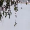 bingannganhoaoo