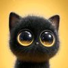 amiray.chaaban