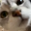koba_san13