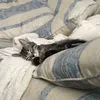 yourlocalmonkey7