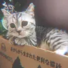 Неизвестный