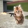 badgyalstan