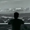 vinelel