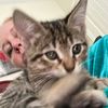 lifeofrileymeow