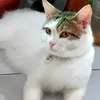 pipi3892