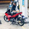 rull392__