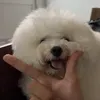 chiuchiu_1346