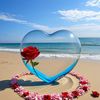 user02576165