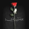 sasooashraf8