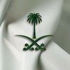 as_ayel2236