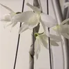 soluuhuong35