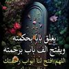 user8335064