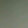 gastrod_