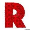 rabihahamidmalik