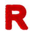 rejang.utara51