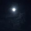 ynhii00