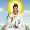 user3da4vu9p70